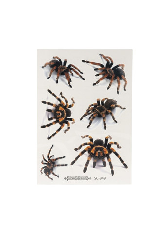 Набір тимчасових тату «Павуки» колір різнокольоровий CB-00285399 No Brand (361855643)