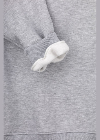 Серый свитшот мужской dms-040 baza серый (2000990058447w) shop (2000990058447) Demos (315965738)