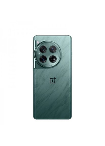 Смартфон 12 16/1TB Flowy Emerald OnePlus (370439343)