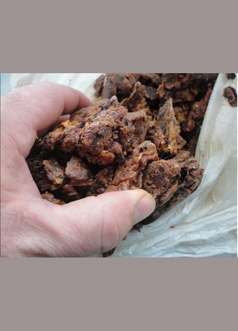 Прополіс бджолиний 10 грам МЕД ПОШТОЮ (322148749)