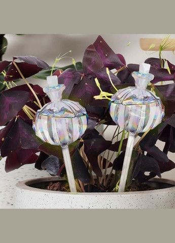 Стеклянная колба для автоматического полива растений в вазонках (TA0113) No Brand (325408526)