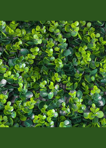 Декоративна панель зі штучної зелені Самшит 50*50 см (2017-001) ELISEY (329187736)