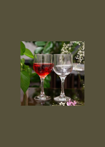 Набор бокалов для вина Tulipe 200 млх6 шт (44167) Pasabahce (334007069)