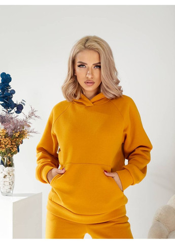 Бюджетный спортивный костюм женский на флисе Україна (366241952)