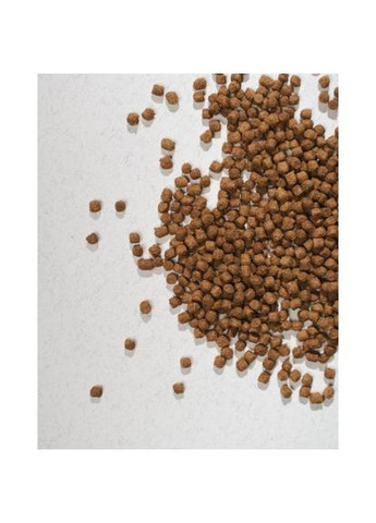 Сухий корм Half&Half для кошенят, з яловичиною, 8 кг No Brand (361871908)