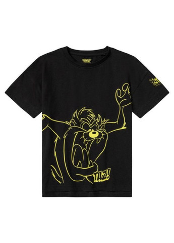 Комбінована літня футболки для хлопчика набір 2 шт Lupilu