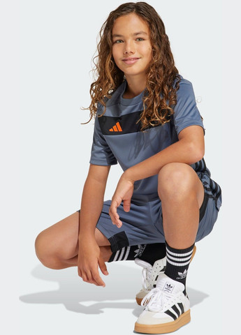 Разноцветный демисезонный спортивный лонгслив adidas с логотипом