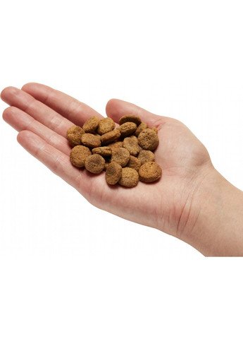 Сухий корм для дорослих собак fresh meat Truthahn Kartoffel зі свіжим м'ясом індички та картоплі 1 кг (4025877571268) Mera (366081604)