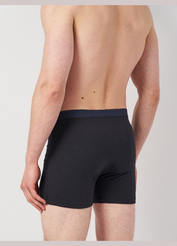 Труси (3шт) Basic Collection (295079688)