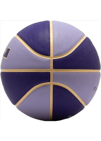 Баскетбольний м'яч All Court 2.0 8P L James Deflated фіолетовий Уні (розмір 7) N.100.4368.509.07 Nike (369364536)