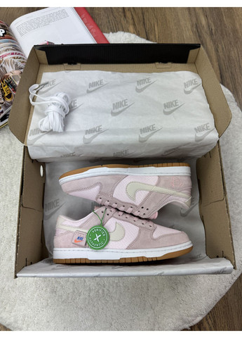 Розовые демисезонные кроссовки мужские nike sb dunk teddy bear pink найк сб данк No Brand