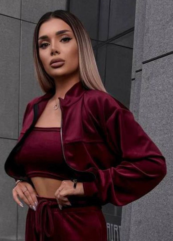 Базовий повсякденний демісезонний велюровий костюм двійка: кофта на блискавці + штани Tik-Tak (358058647)