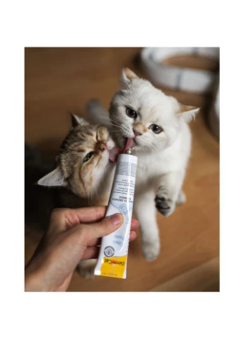 Вітаміни Expert Line Kitten для кошенят вітамінізована паста 50 г GimCat (376583083)