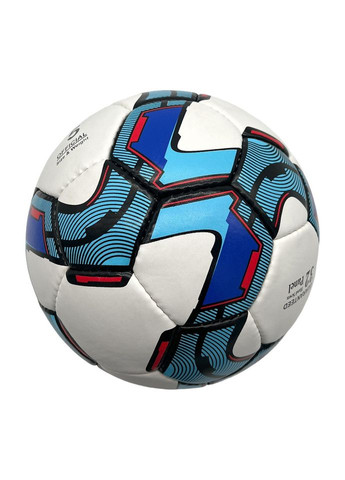 Мяч футбольный Rnx Champion Grand NE-F-GRD, размер № 5 Newt (337579081)