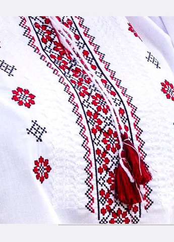 Жіноча вишиванка Діва біла з червоним Galychanka 6904 (326520051)