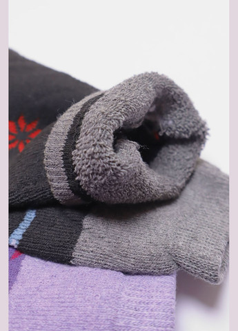 Комбинированные набор носков женских махровых 3 штуки Let's Shop рисунки (304609807)