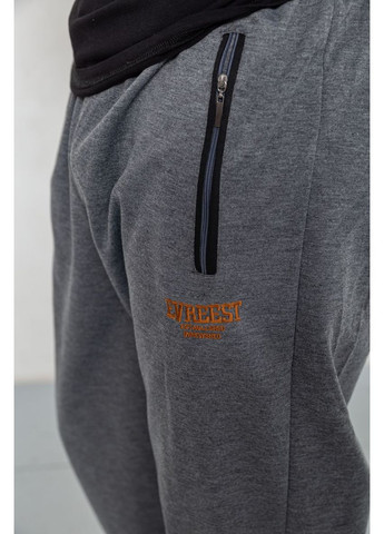 Серые демисезонные брюки Ager