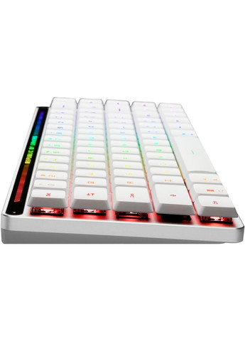 Клавіатура бездротова ROG Falchion RGB WL BT White (90MP03EC-BKMA10) Asus (348110154)