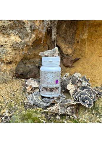 Траметес разноцветный, экстракт 10:1, молотый 50 г Лісовик (334711123)