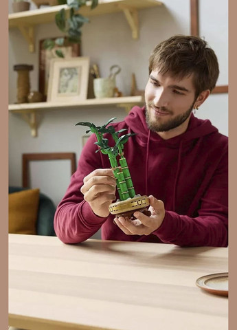 Конструктор Icons - Бамбук щастя (10344) колір різнокольоровий CB-00269177 Lego (319068854)