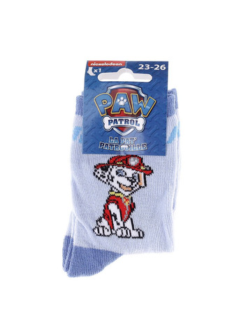 Шкарпетки Marcus blue Paw Patrol (333956031)