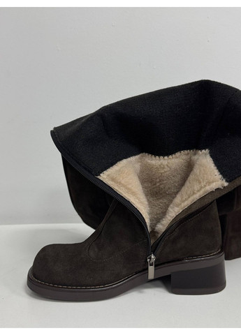 Стильні жіночі ботфорти No Brand (367164737)