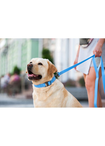 Поводок для собак водостійкий WAUDOG Waterproof Collar (362136100)