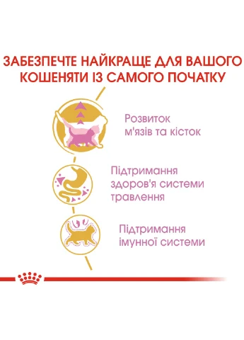 Сухий корм для кошенят Kitten British Shorthair 2 кг (3182550816533) (2566020) Royal Canin (279561199)