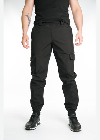 Штани Утеплені на флісі Преміум Матеріал Softshell No Brand (330457640)