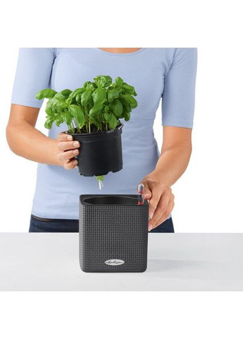 Розумний вазон Cube Color 16 1,75 л сірий 13584 Lechuza (362264907)