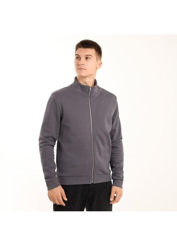 Чоловіча кофта демісезонна на блискавці сіра Freedom (365754691)