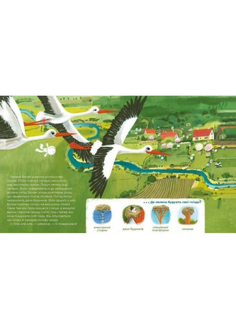 Детская книга "Тули-Тули Дух-опекун животных рассказывает истории о них" 318222 No Brand (330017642)