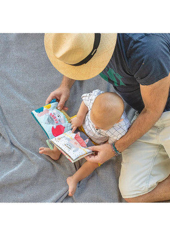 Развивающая книжка для коляски — Что наденет мишка Пол Taf Toys (342753269)