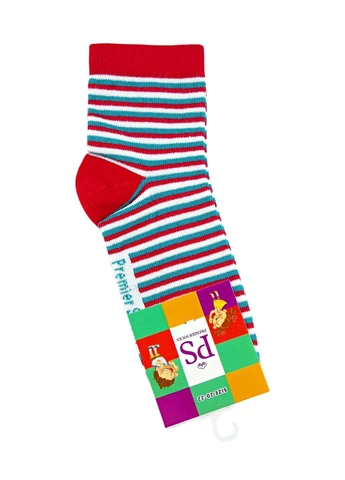 Носки детские демисезонные премиум PS Premier Socks Класичні (394525803)