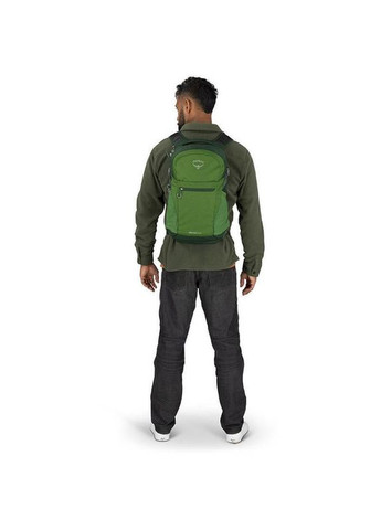 Городской рюкзак Daylite Plus 20л green belt/green canopy. Osprey (322627772)