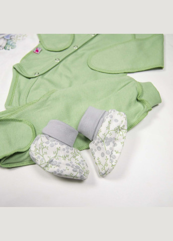 Комбинированный демисезонный набор на выписку koala и olive 6в1 Tunes