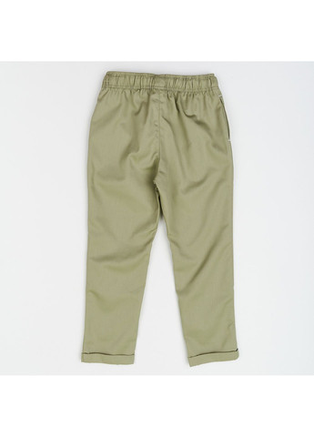 Штани літні Bogi 201020029402 (355413866)