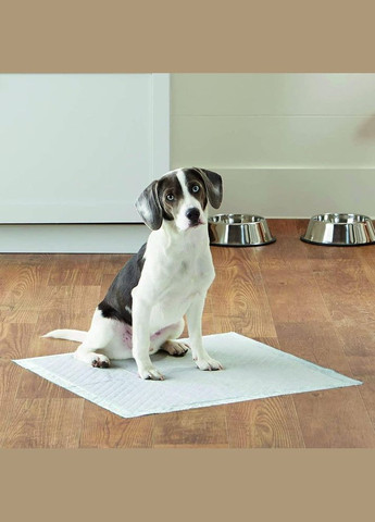 Одноразові пелюшки для собак 60х90 см BENNY 6 шт/уп (8585027981539) TATRAPET (307494708)