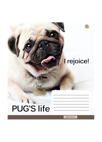 Тетрадь 60 л. клетка "Тетрадь Украины" / Mops Аркуш (342415692)