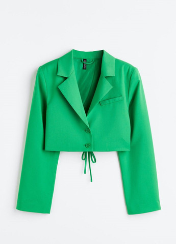 Жакет H&M (310052078)