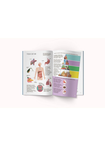 Книга Тело человека, с наклейками () Кристал Бук F00027785 (355313889)