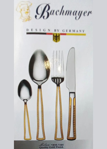 Набор столовых приборов Bachmayer BM-7285 72 предмета в подарочном чемодане на 12 персон ложки, вилки, ножи No Brand (317185943)