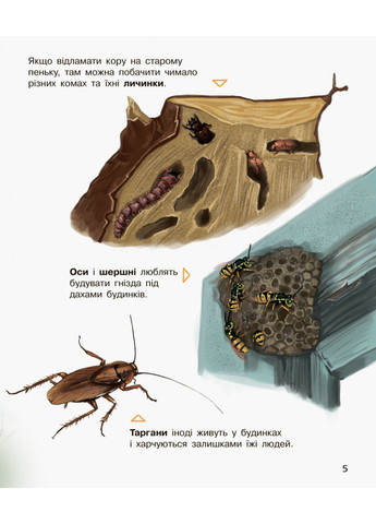 Дитяча енциклопедія про комах 614014 для дошкільнят Ranok Creative (365249924)