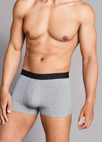 Труси 3шт Livergy (307251362)