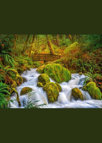 Пазл Річка у лісі 1000 елементів CherryPazzi Cherry Pazzi (321966138)