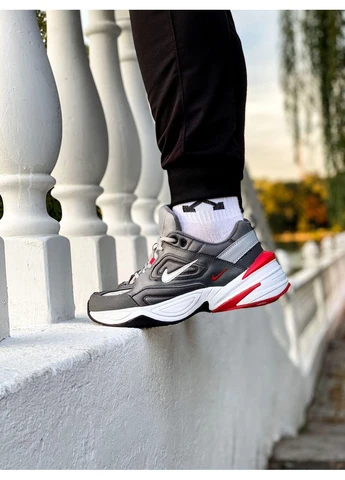 Сірі кросівки чоловічі nike m2k tekno grey red найк м2к текно сірі демісезон No Brand