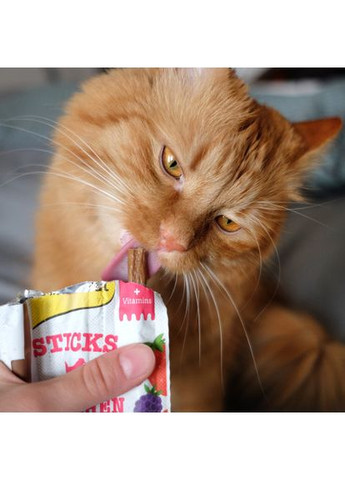 Ласощі М’ясні палички для котів, курка та лісові ягоди, 3 шт по 5 г GimCat (331651916)
