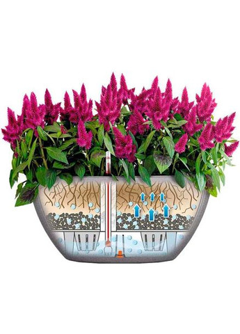 Кашпо Cubeto Color 30 Сірий камінь (13830) Lechuza (332613121)