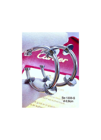 Сережки Stainlees Steel 1 333 Stainless Steel (346394369)
