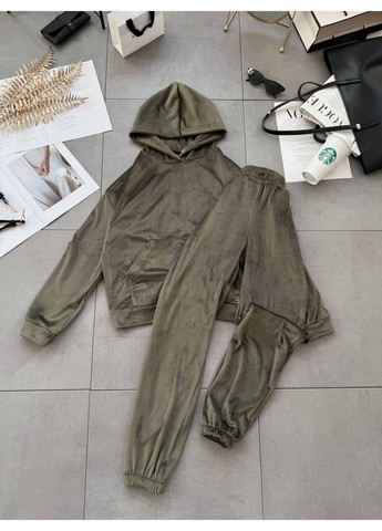 Женский утепленный велюровый костюм No Brand (372853792)